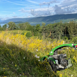 Gartenpflege und Landschaftspflege Schweiz