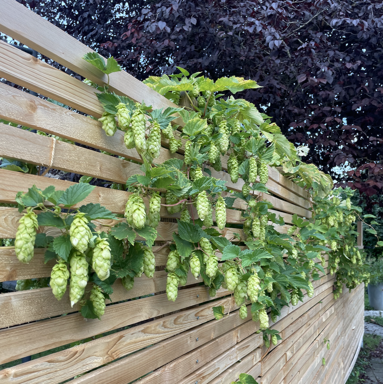 Bildschirmfoto 2026-02-19 um 09.57.56