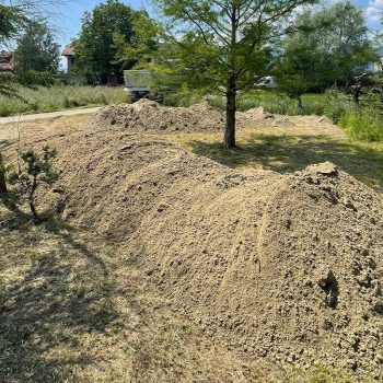 renature.ch_Rodungen_2