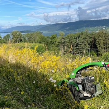 Gartenpflege und Landschaftspflege Schweiz