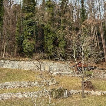 renature.ch_Trockenmauern_2