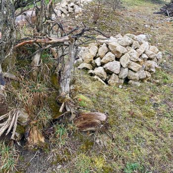 renature.ch_Unterhalt_2