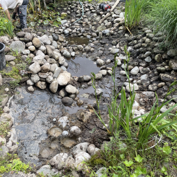 Bildschirmfoto 2026-02-19 um 09.37.53