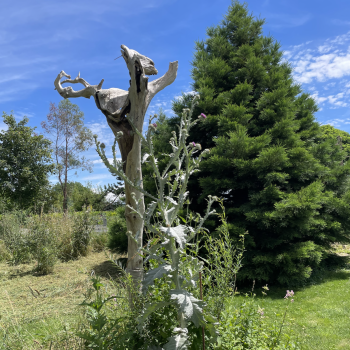 Bildschirmfoto 2026-02-19 um 09.57.28