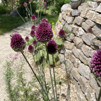 Bildschirmfoto 2026-02-19 um 10.00.13