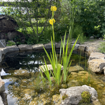 Bildschirmfoto 2026-02-19 um 10.04.57