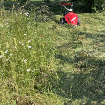 Bildschirmfoto 2026-02-19 um 13.43.32