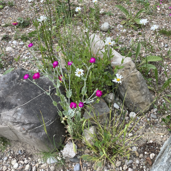 Bildschirmfoto 2026-02-19 um 13.44.05