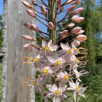 Bildschirmfoto 2026-02-19 um 13.48.32