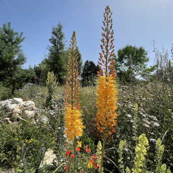 Bildschirmfoto 2026-02-19 um 13.52.36