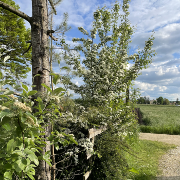 Bildschirmfoto 2026-02-19 um 14.04.24