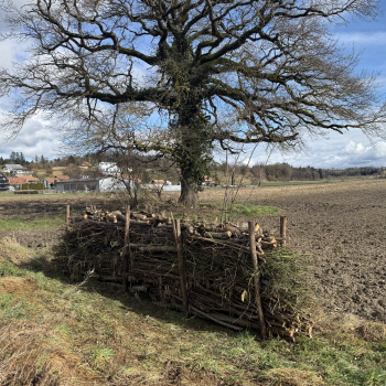 Bildschirmfoto 2026-02-22 um 12.50.42