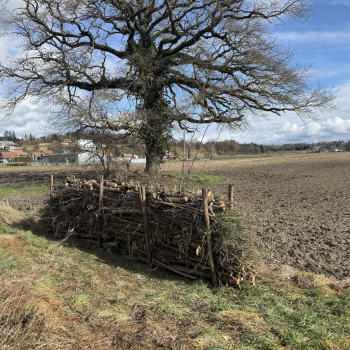Bildschirmfoto 2026-04-02 um 13.19.25