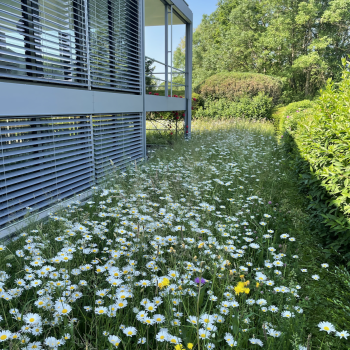 Bildschirmfoto 2026-04-03 um 10.06.17